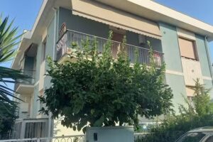 Il Gelsomino Bed & Breakfast