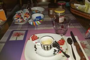 Il gelsomino fiorito