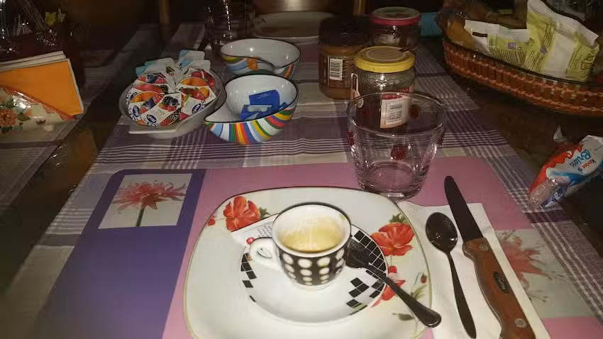 Il gelsomino fiorito