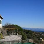 Il giardino degli ulivi