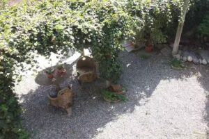 Il Giardino dei Semplici