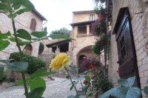 Il Giardino del Gallo