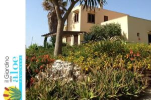 Il Giardino delle Aloe Favignana