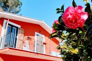 Il giardino delle camelie – b&b