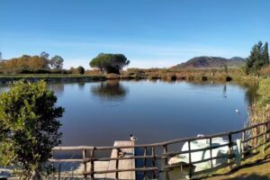 Il Giardino di Manipura