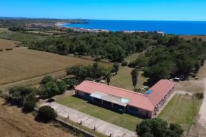 Il ginepro Putzu Idu