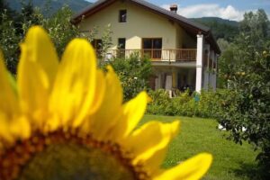 Il Girasole Agriturismo
