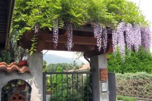 Il Giuggiolo Bed & Breakfast