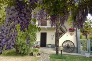 Il Glicine Centenario