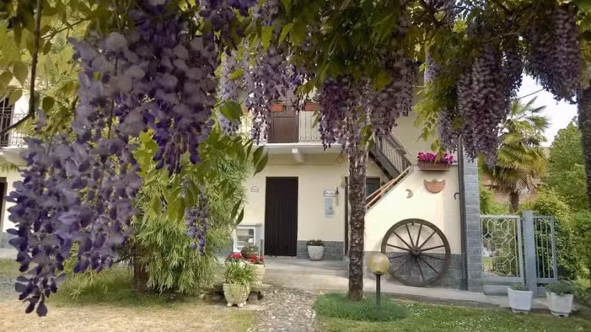 Il Glicine Centenario