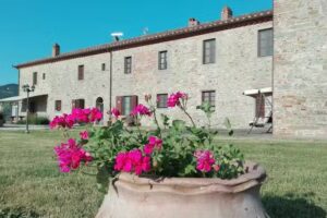 Il Grifone A Cortona Residence