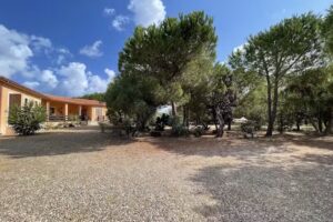 Il Lentischio del Sinis