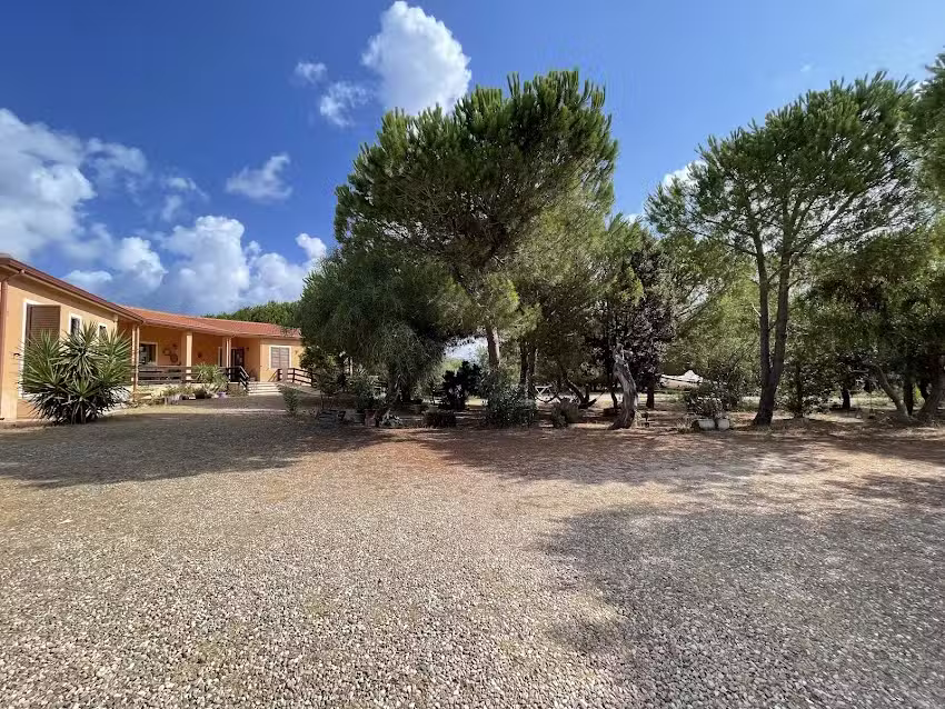 Il Lentischio del Sinis