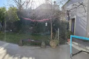 Il Melograno dell’Etna