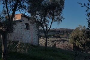 Il Miraggio in Val d’Orcia Relais & Spa