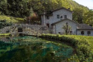 IL MORO sulla via del Ponte