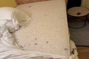 Il Nido di Santa Croce