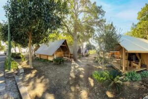 Il Pampaleone Glamping & Resort