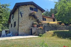 Il paradiso delle beccacce