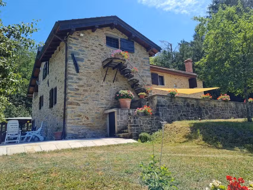 Il paradiso delle beccacce