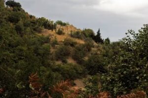 Il Pentolone in Compagnia