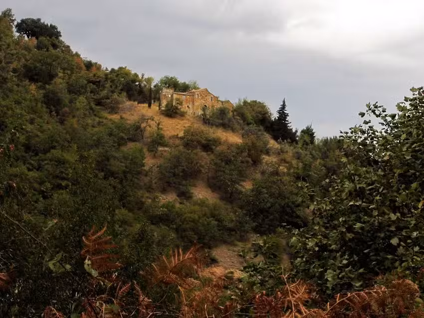 Il Pentolone in Compagnia