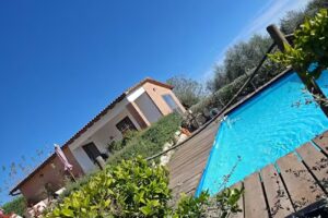 Il pettirosso di Siena