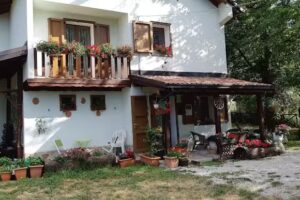 Il posto del ciliegio selvatico