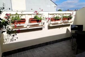 Il Risorgimento Avezzano