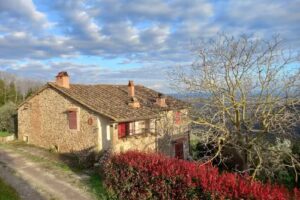 IL RUSTICO VICOPISANO