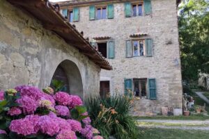 Il Sartino Agriturismo e B&B