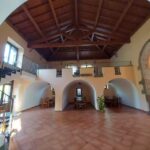 Il Sentiero Degli Ulivi