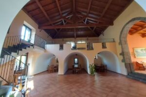 Il Sentiero Degli Ulivi