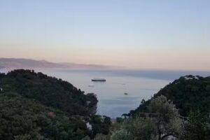 Il sorriso su Paraggi