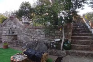 Il sottobosco casa vacanze