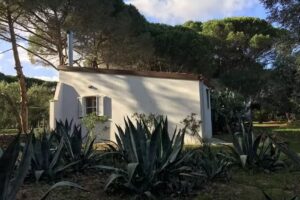 Il Trullo di Petrelli