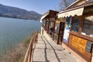 Il Tulipano sul Lago