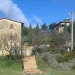 Il vecchio seccatoio