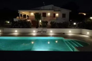 Il Volo Dei Gabbiani