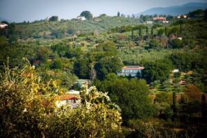 Ille Roif Resort & SPA