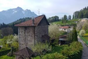 Inspiteofeverything / Nonostantetutto