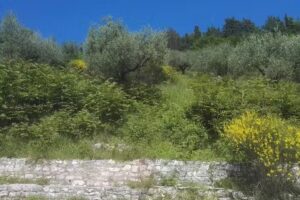 Istituto Don Bosco Verde Soggiorno