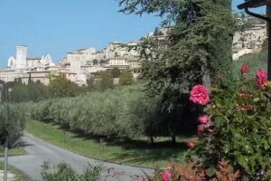 Istituto Padri Rogazionisti – Casa per Ferie