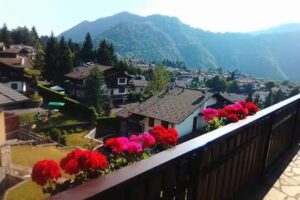 L’agrifoglio bed and breakfast