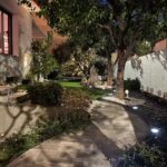 L’albero della vita