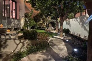 L’albero della vita