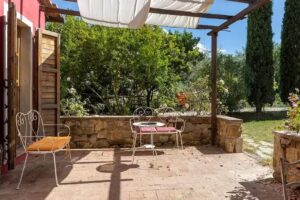 L’Aquila e L’Ulivo di Miselli Monica