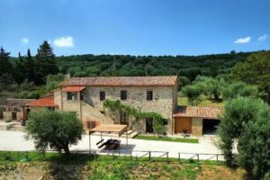 L’oasi delle volpi