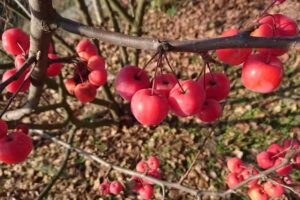 L’ocanda Cascina Riva