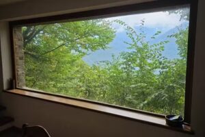 L’Ontano sulle Alpi